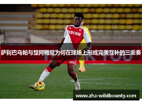 萨利巴乌帕与楚阿梅尼为何在球场上形成完美互补的三重奏 萨利巴乌帕与楚阿梅尼为何在球场上形成完美互补的三重奏
