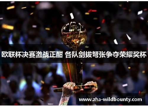 欧联杯决赛激战正酣 各队剑拔弩张争夺荣耀奖杯 欧联杯决赛激战正酣 各队剑拔弩张争夺荣耀奖杯