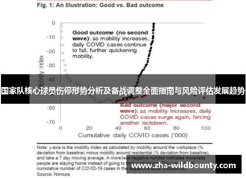 国家队核心球员伤停形势分析及备战调整全面指南与风险评估发展趋势