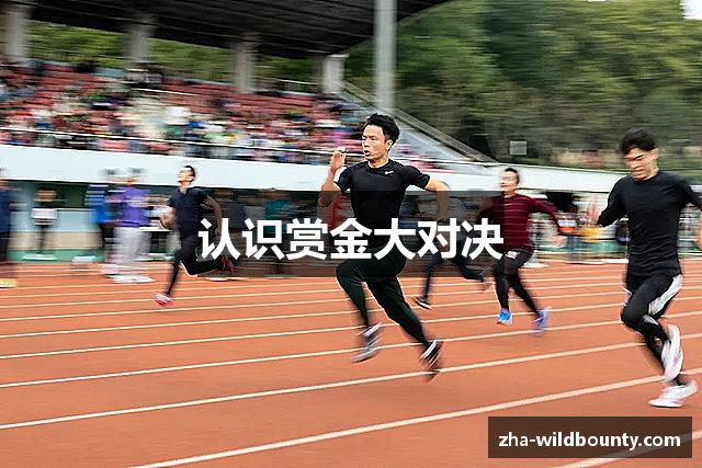 认识赏金大对决